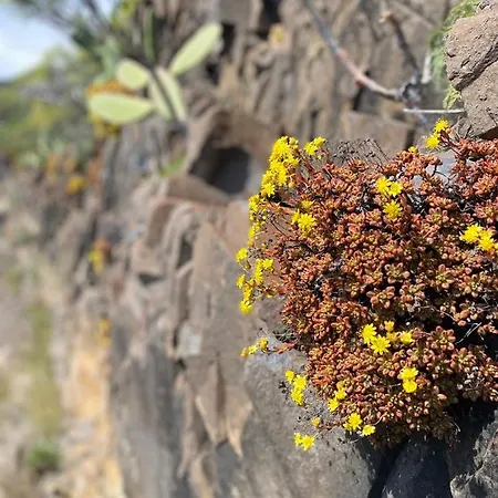 Duplex De 2 Y 2 Banos Y Con Jackuzzi Privado * Tamaimo