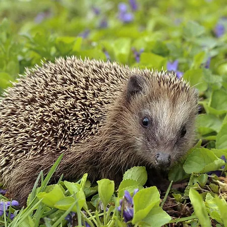 Duplex De 2 Y 2 Banos Y Con Jackuzzi Privado