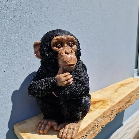 Duplex De 2 Y 2 Banos Y Con Jackuzzi Privado Apartman *